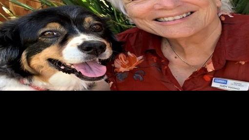 Judy Naimo, Home owner Dilemmas, Why real estate is booming | Dwelling & Backyard garden Columnists