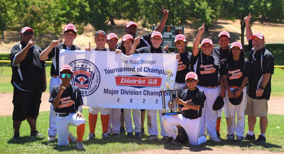 How America Sold Out Little League Baseball