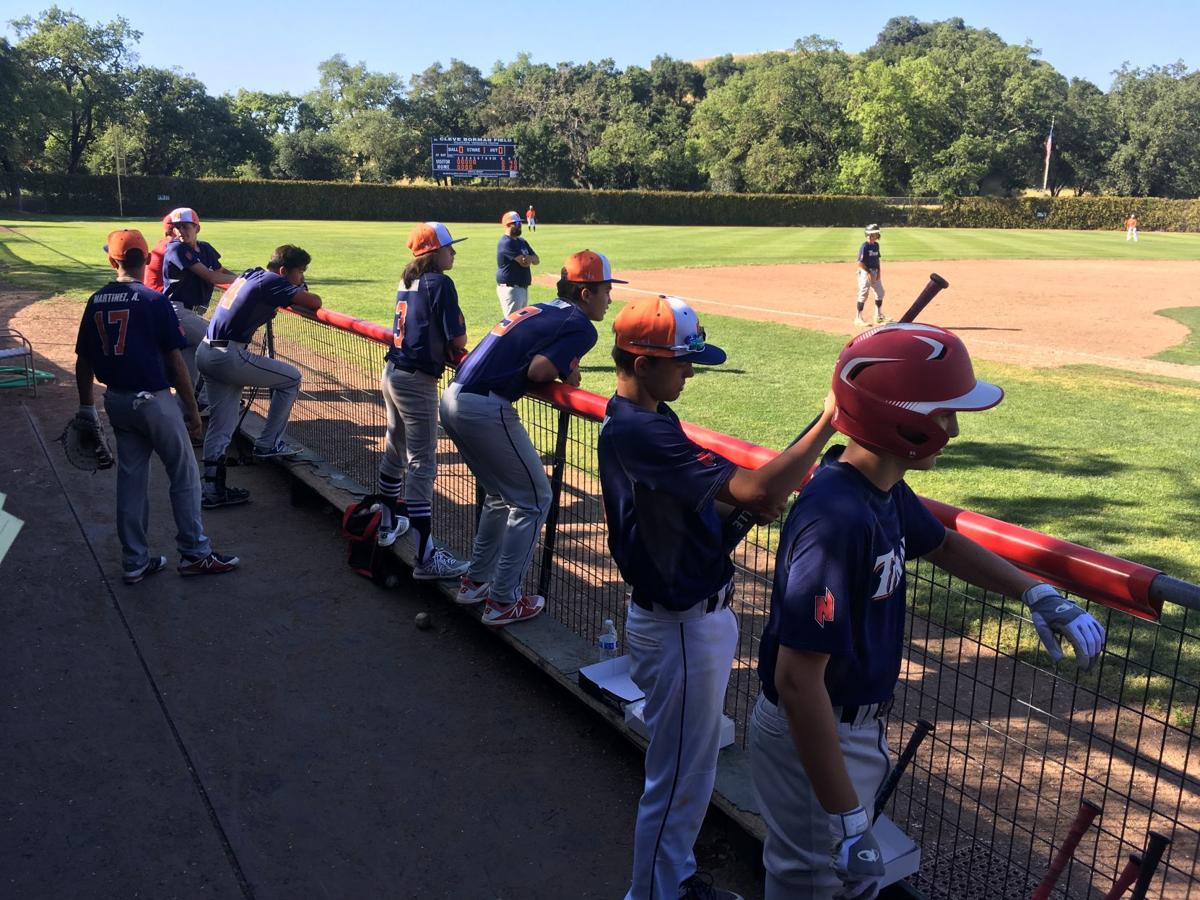 Napa Valley Baseball Report Top eighthgrade players in Northern