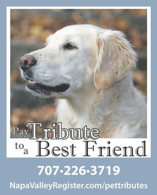 Pet Tribute