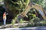 City brings in heavy equipment to clear overgrown yard