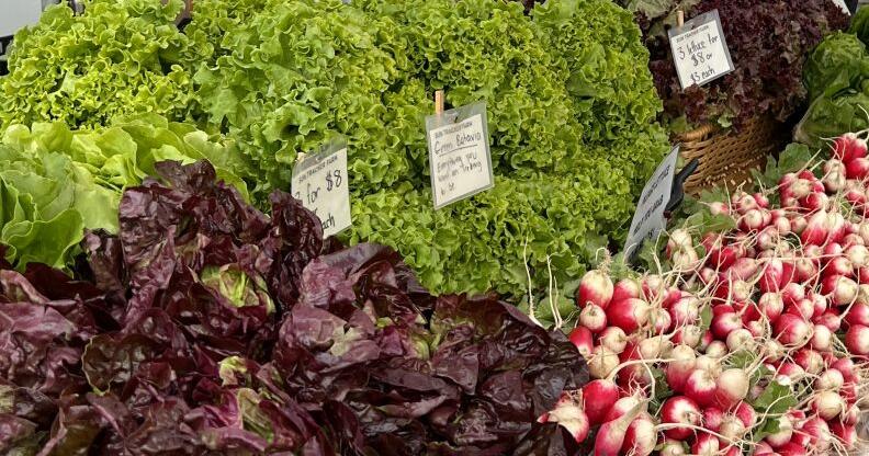 The Napa Farmers Market as a social hub - Vimarsana News