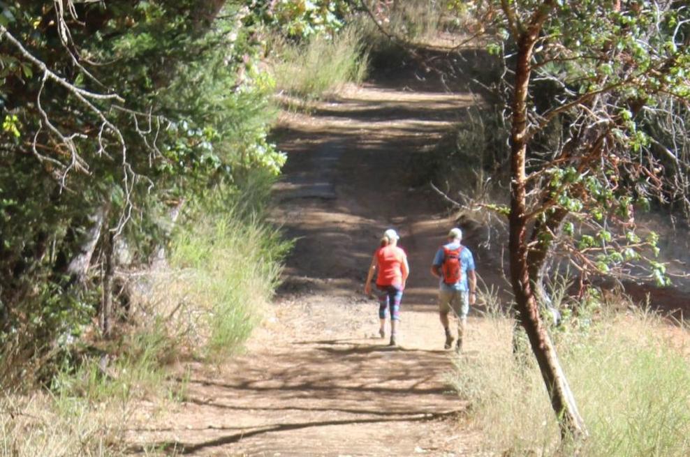 Officials In Angwin Celebrate Opening Of Pacific Union College S Forest Trails To Public Local News Napavalleyregister Com