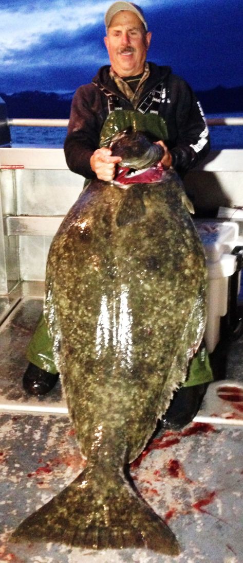 Fishing Report Napa Angler Hauls In Huge Halibut Outdoors Napavalleyregister Com