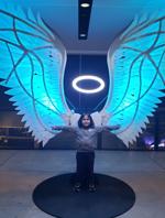 Napa Lighted Art Festival