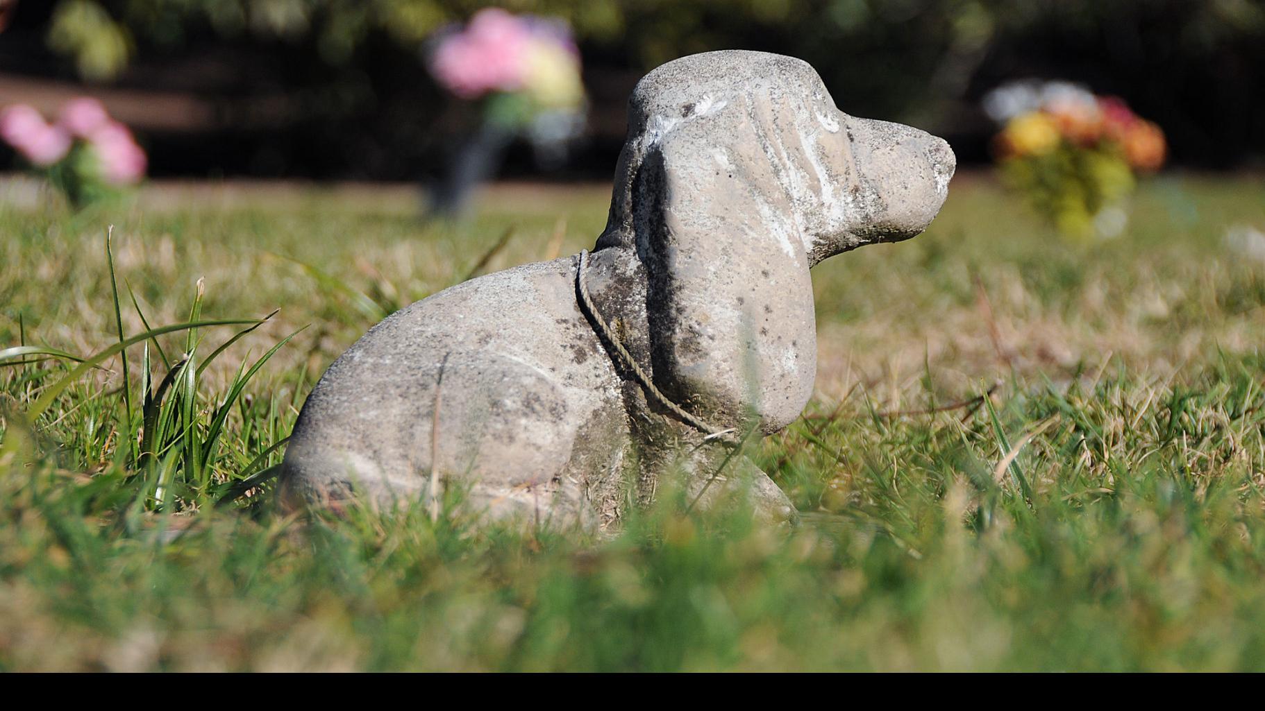 CARING PET CREMATORY - 21 Photos & 55 Reviews - Pet Cremation Services -  4720 Beloit Dr, Sacramento, CA, United States - Phone Number