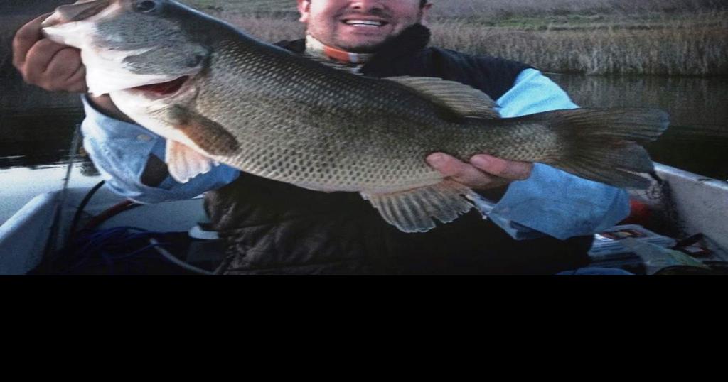 Big bass caught at Lake Hennessey