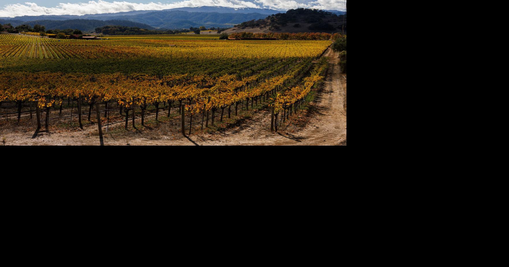 Napa Valley groundwater pumping exceeds target