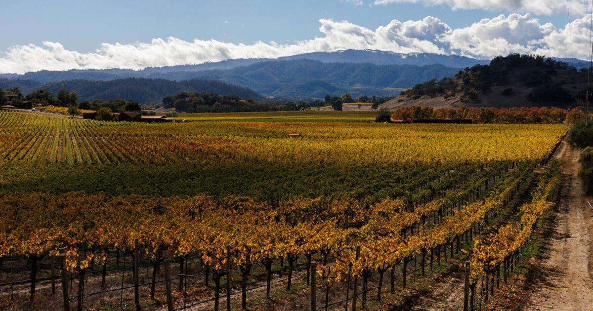 Napa Valley groundwater pumping exceeds target