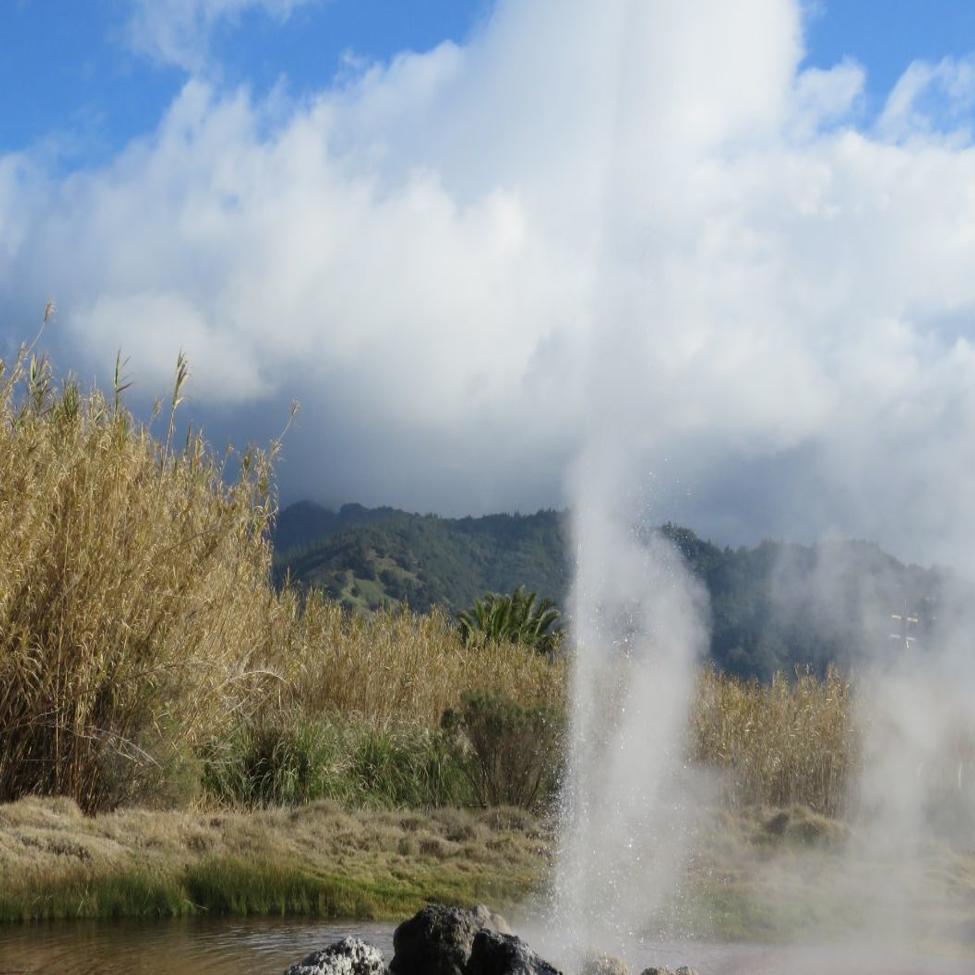 Napa Valley S Living Landscape The Dancing Waters Of Calistoga S Old Faithful Geyser Lifestyles Napavalleyregister Com