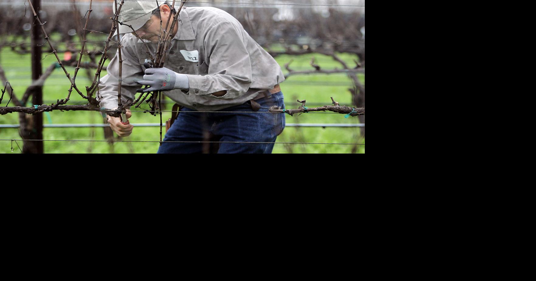 Pruners power through