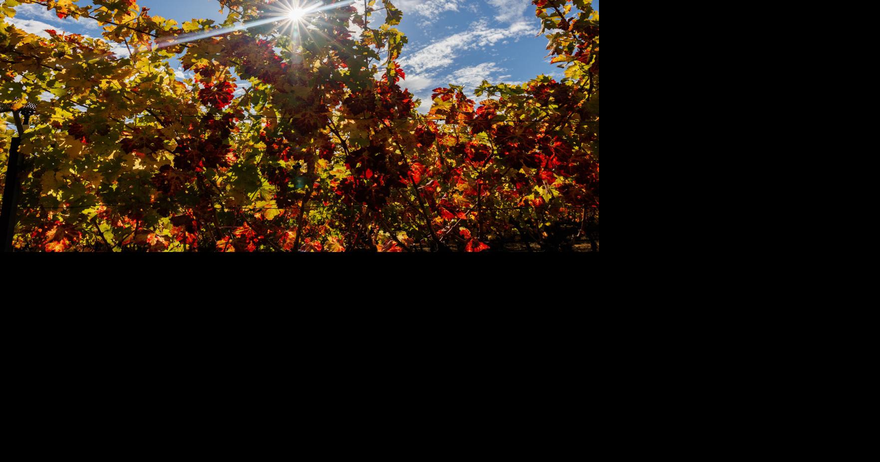 Napa County grapples with groundwater pumping fees