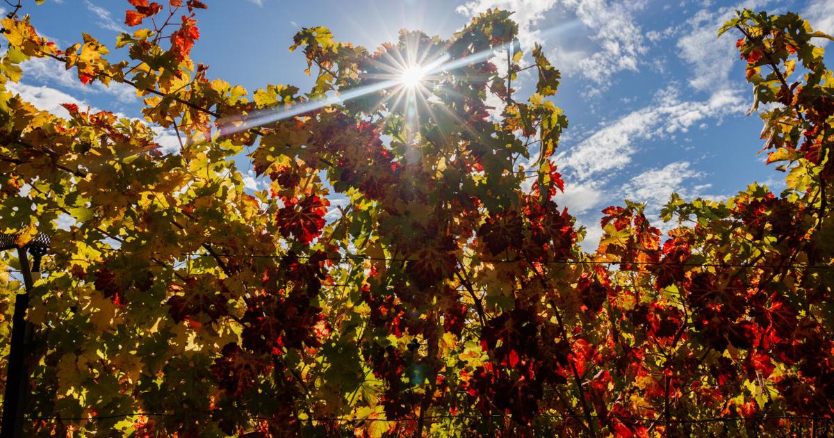 Napa County grapples with groundwater pumping fees