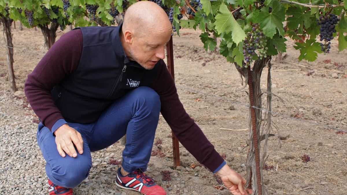 Tod Mostero, Dominus