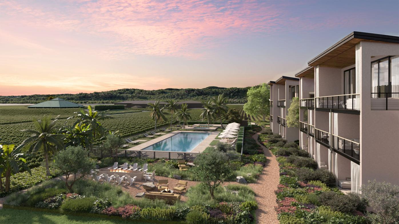 Napa Valley boutique resort, The Elene, opening summer 2026 | Business |  napavalleyregister.com