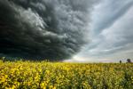 APTOPIX Canada Severe Weather