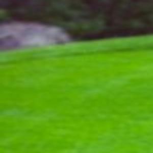 Francis Pierce Wedding Milestones Napavalleyregister Com