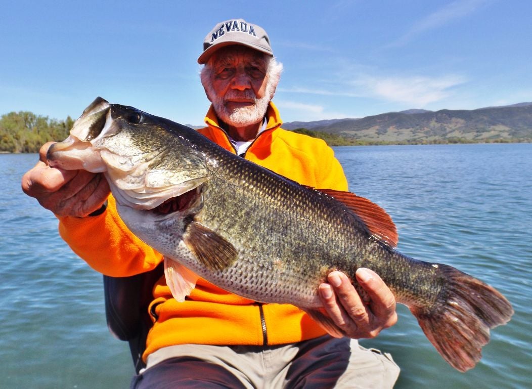 The Fishing Report Unusual Hybrid Bass Caught In Lake Berryessa