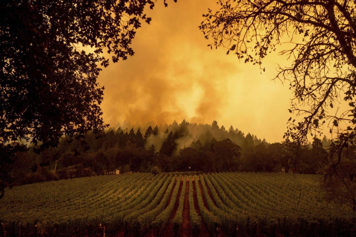 Napa Valley wildfires in 2020