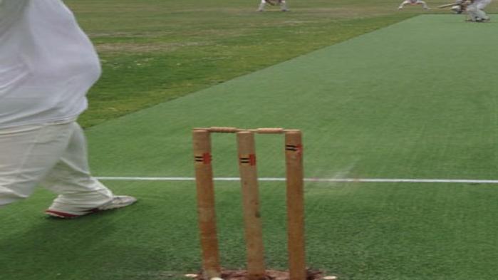 Napa Valley Cricket Club Celebrates Maiden 2012 Win Sports Napavalleyregister Com Sm full size cricket bat poplar willow cricket bat. napa valley register