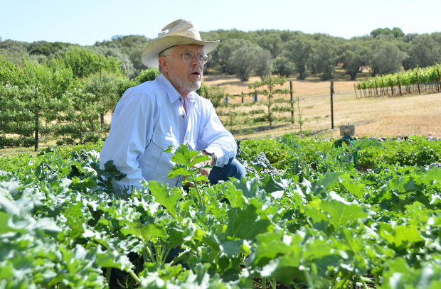 Hudson Ranch begins delivery of CSA produce | Home and Garden