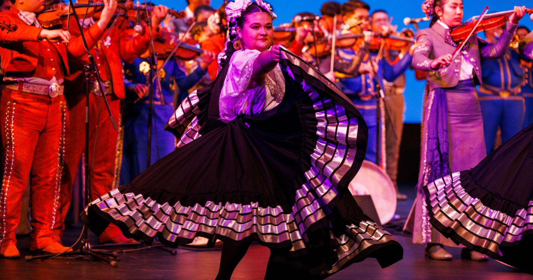 Arts Council Napa Valley awards $25,000 to local programs - Vimarsana News