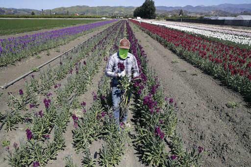California governor pledges support for essential workers