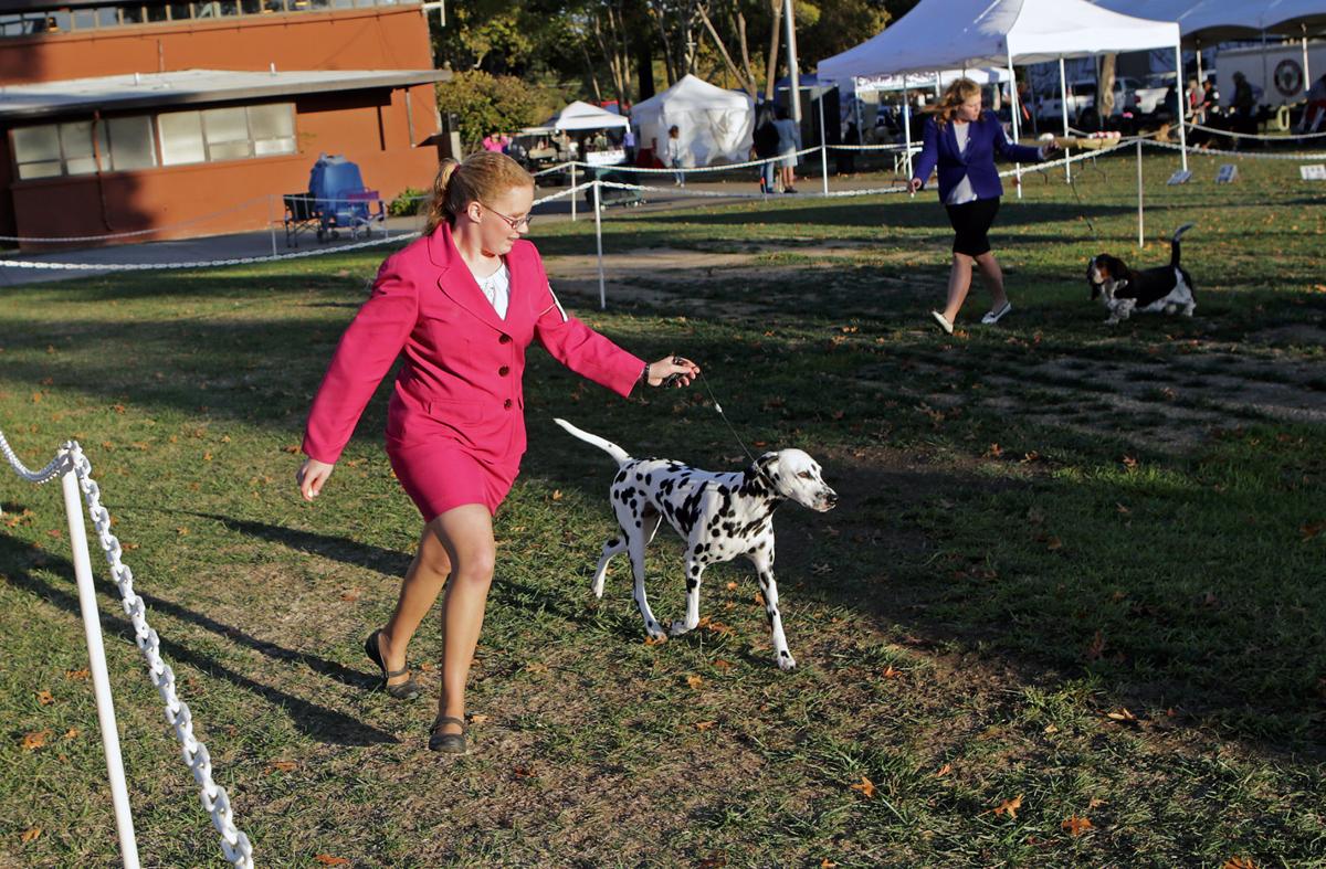 Wine Country Kennel Club Dog Show Wine Country Kennel Club Dog Show