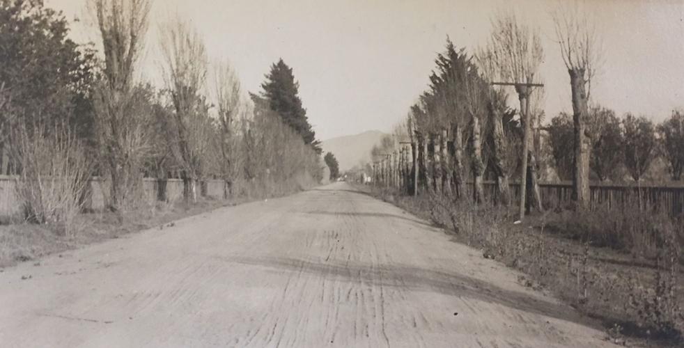 Napa's Browns Valley 19th century farming 21st century residential