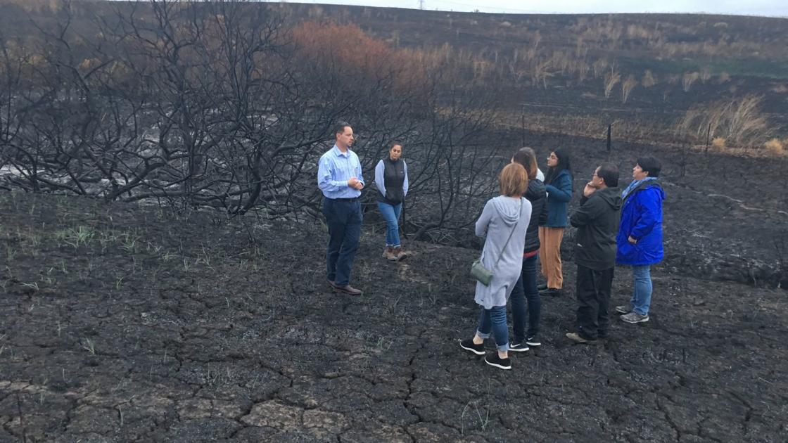 American Canyon awaits rebirth of a burned Newell preserve - Napa Valley Register