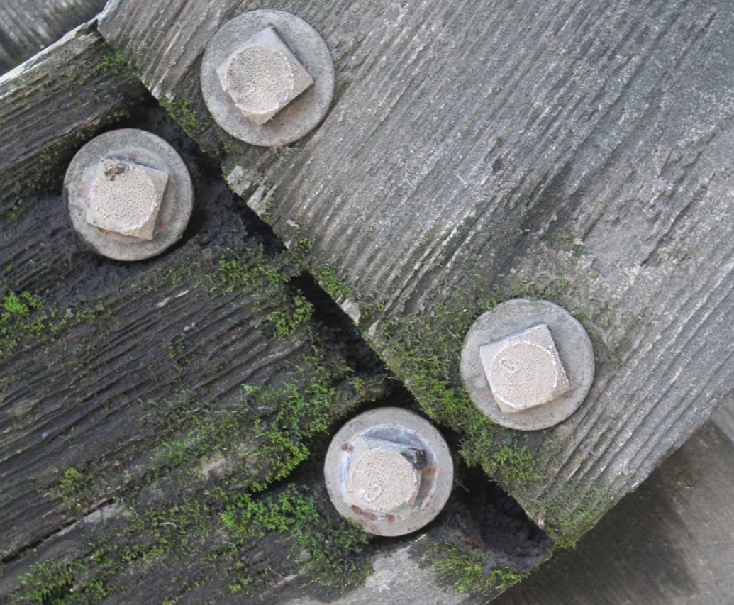 Photos: As seen in the St. Helena Star, week of Jan. 31 | Photo