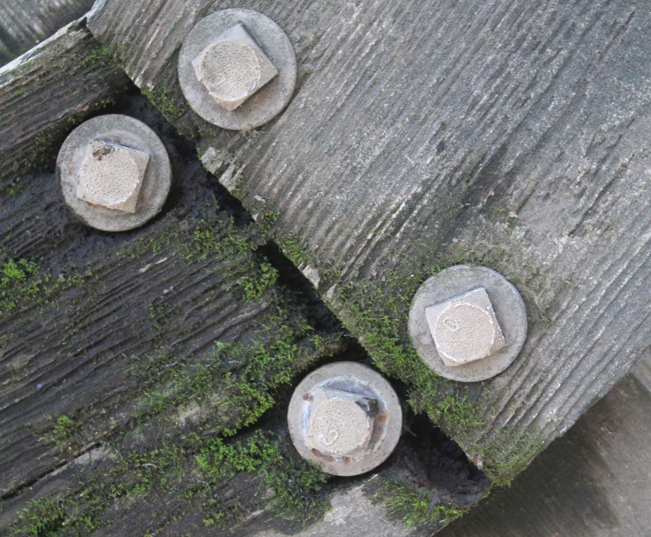 Photos: As seen in the St. Helena Star, week of Jan. 31 | Photo