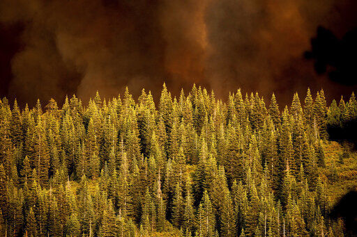 wildfire smoke