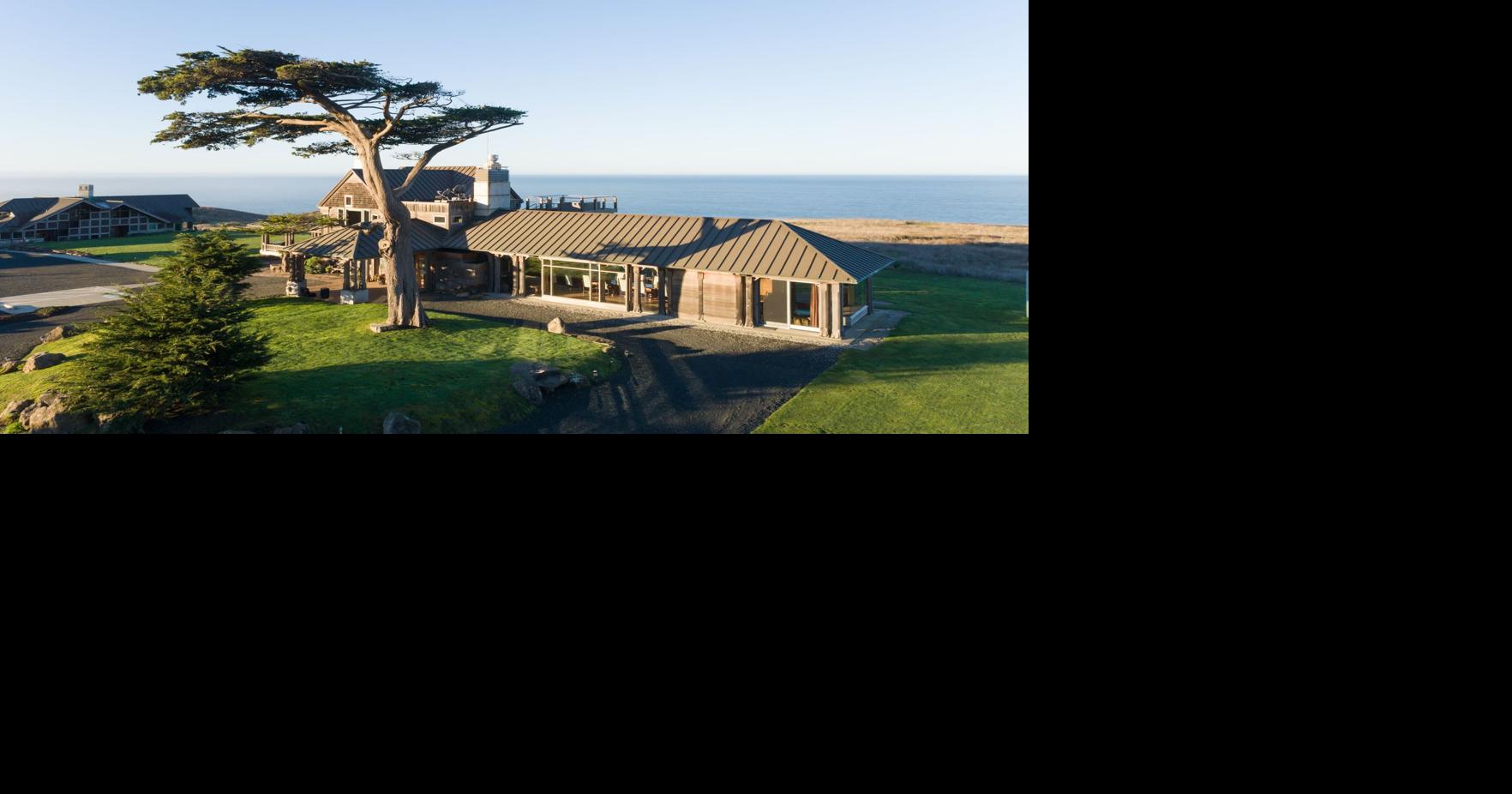 Mushroom hunting in Mendocino