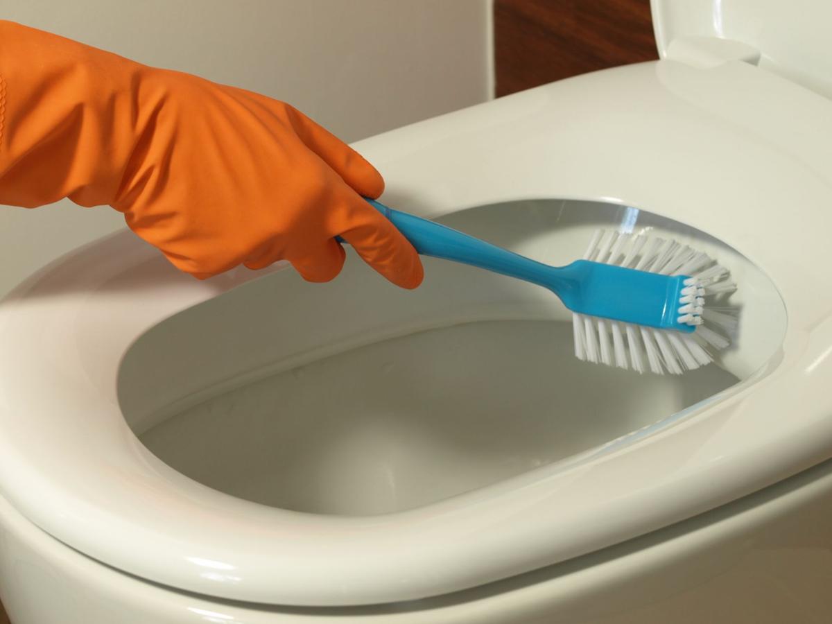 How many germs are actually on a toilet seat and should I care?