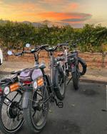 Fat Tire Bike Rentals