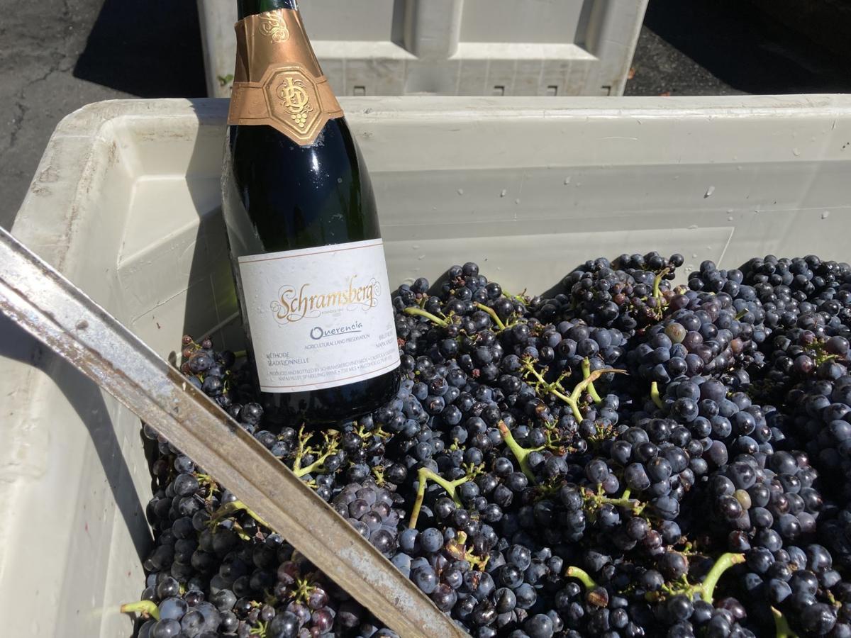 schramsberg harvest 2020