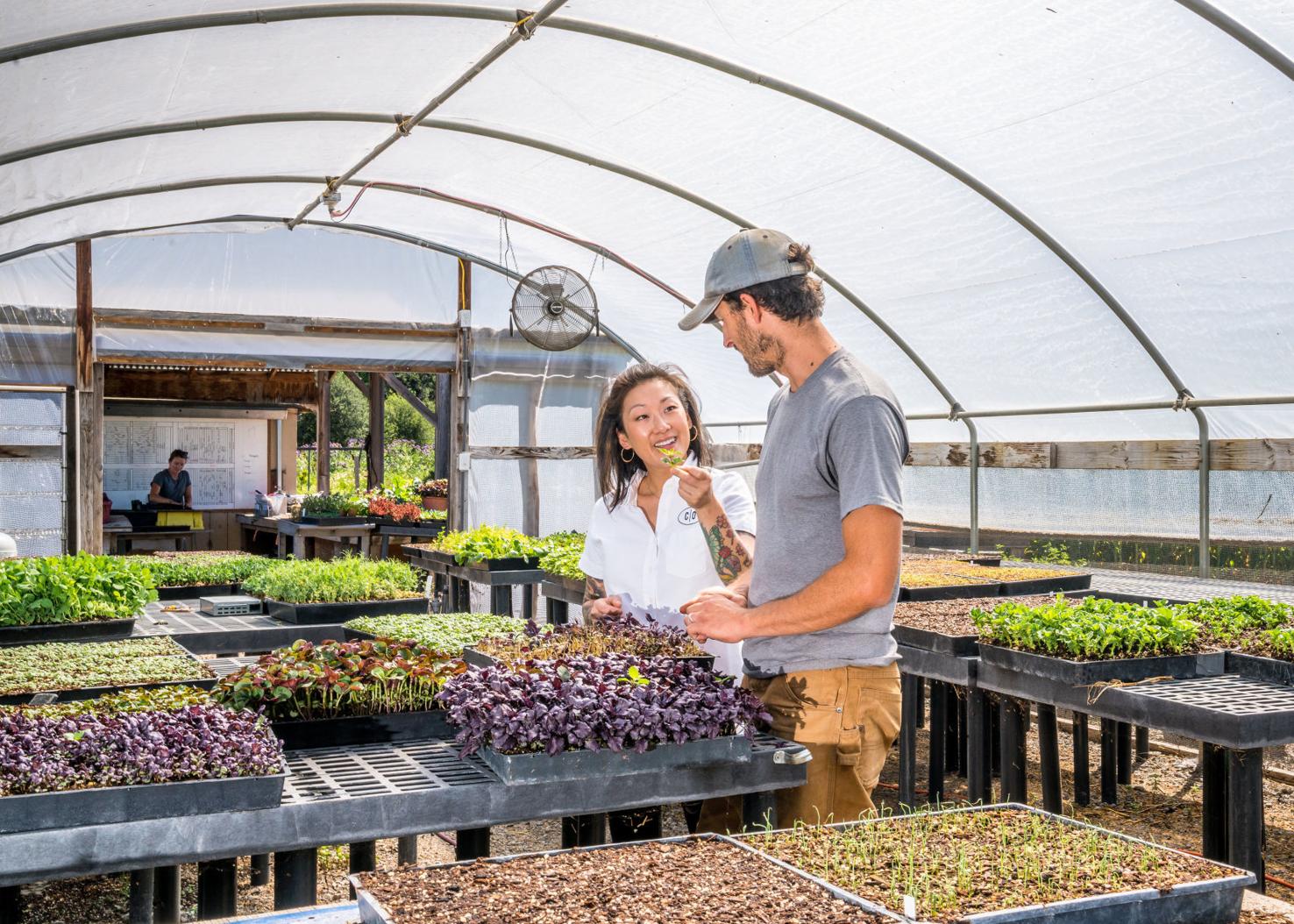 Tim Carl Local Tastes The Charter Oak — Napa Valley’s best new restaurant