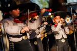 Viva Mariachi