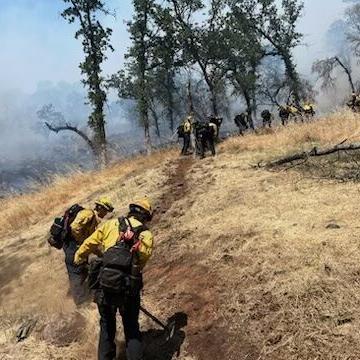 Fire sparks near St. Helena, water treatment plant - Vimarsana News