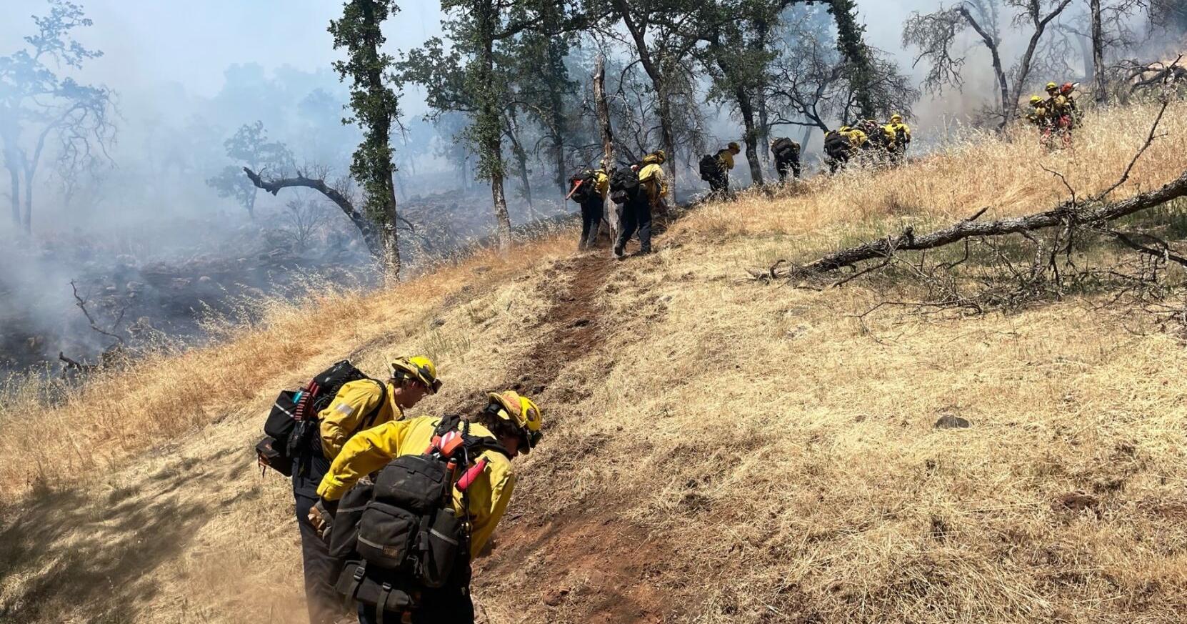 Fire sparks near St. Helena, water treatment plant - Vimarsana News