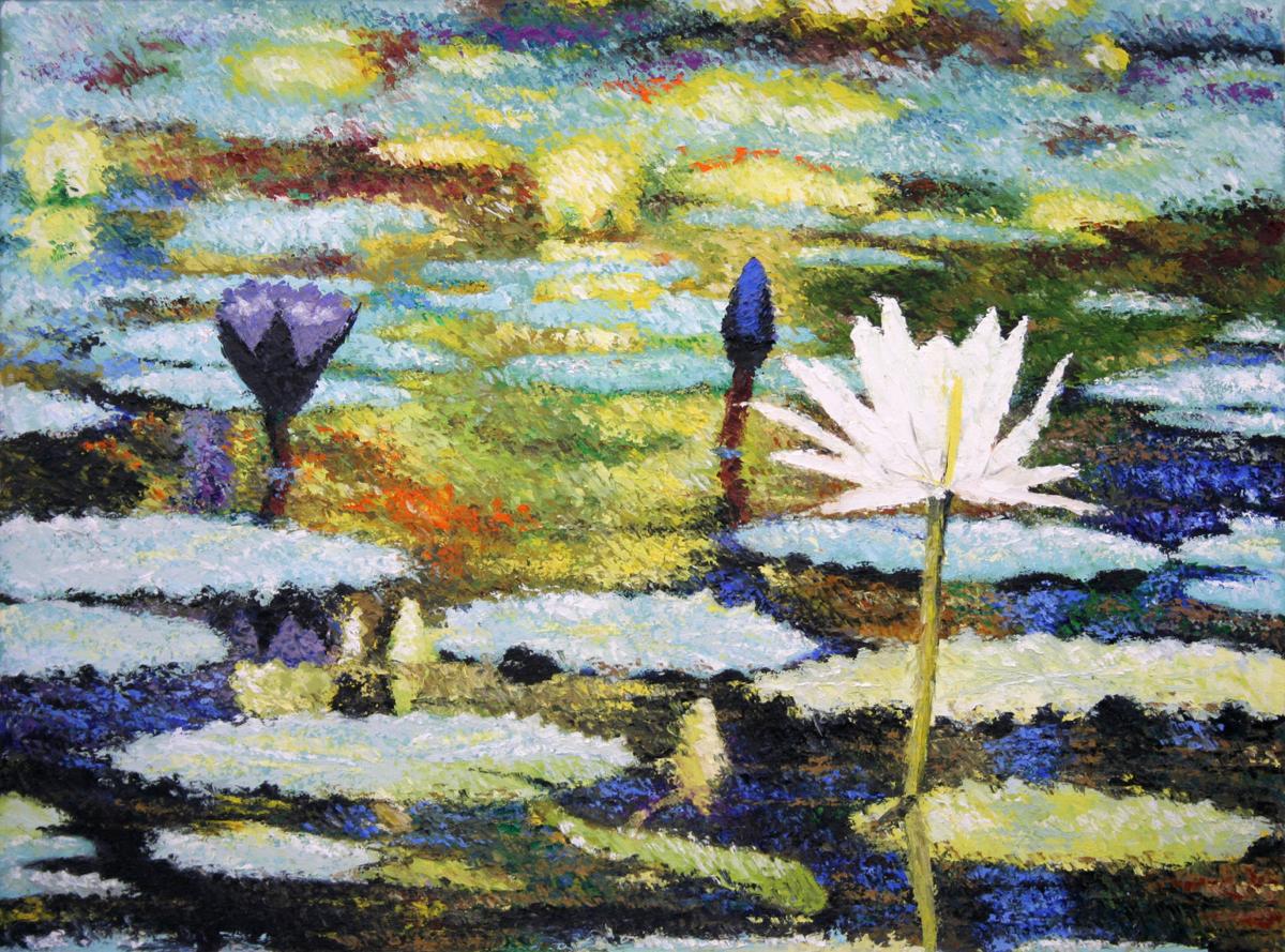 Water lilies and lily pads