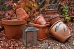 Master Gardeners of Napa County: Preparing your fall garden