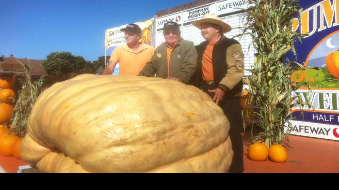 Napa pumpkin growers score top prizes at Half Moon Bay | Local News ...
