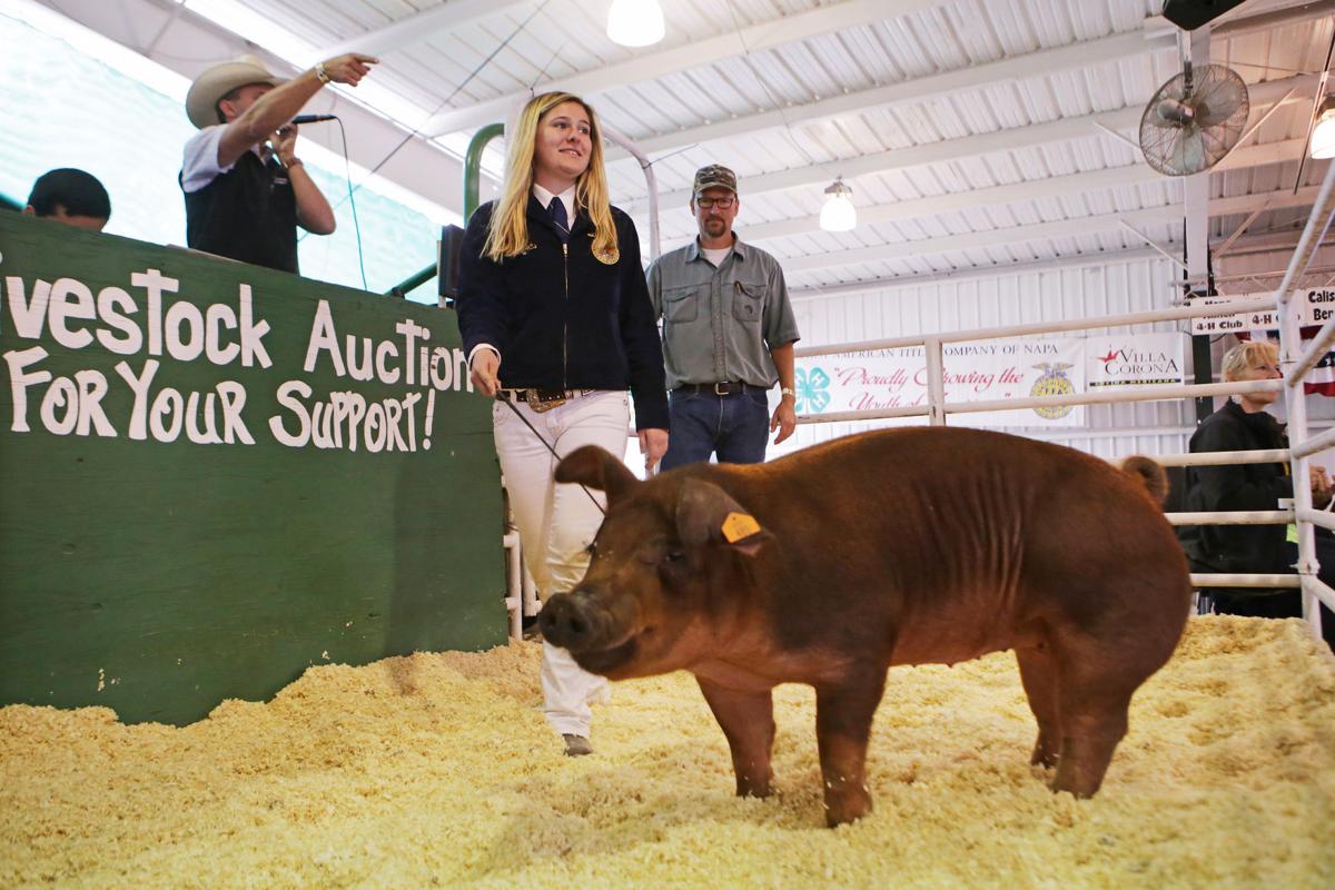 Junior Livestock Auction 2017