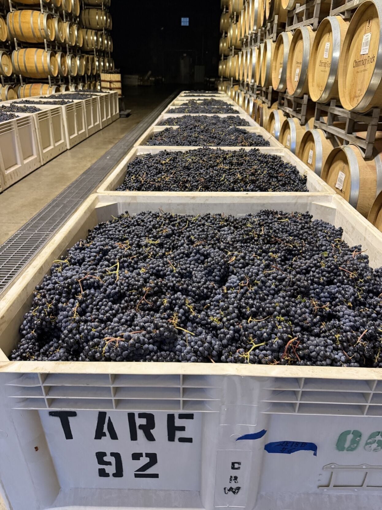 Napa Valley harvest report: Growers report ’small but mighty’ crop