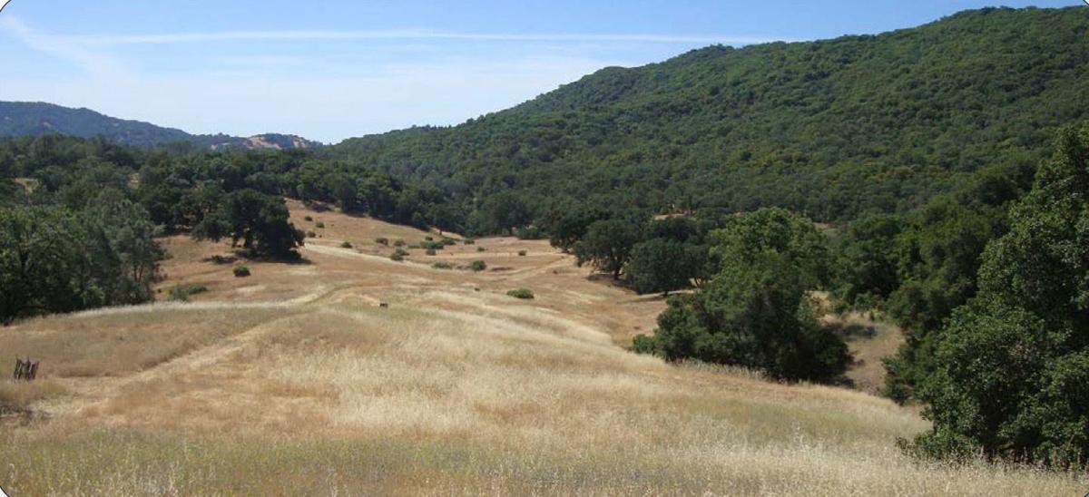Walt Ranch