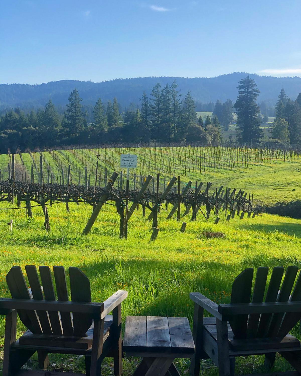 The Anderson Valley Winter White Wine Festival Full Of Delights Lifestyles Napavalleyregister Com