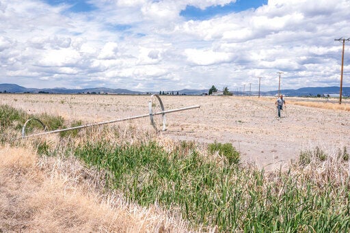 ‘Nobody’s winning’: Drought upends life in US West basin