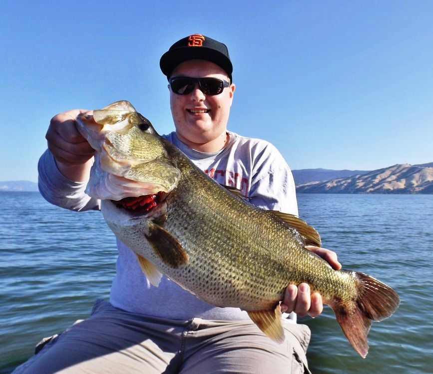 Trout Report Good At Lake Berryessa Outdoors
